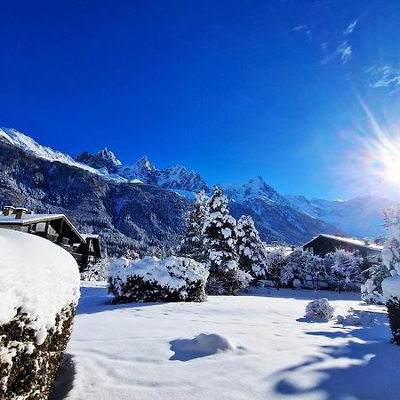 Chamonix Appartement Vue Mont Blanc Avec Jardin Kültér fotó