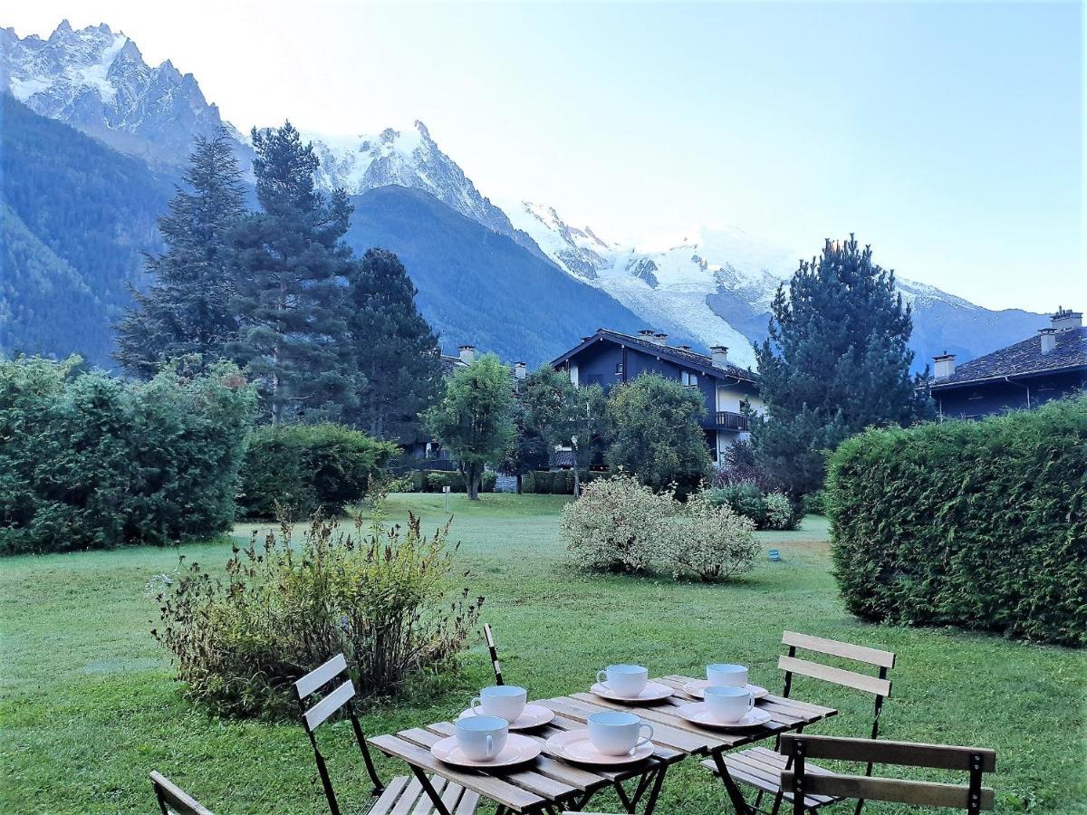 Chamonix Appartement Vue Mont Blanc Avec Jardin Kültér fotó