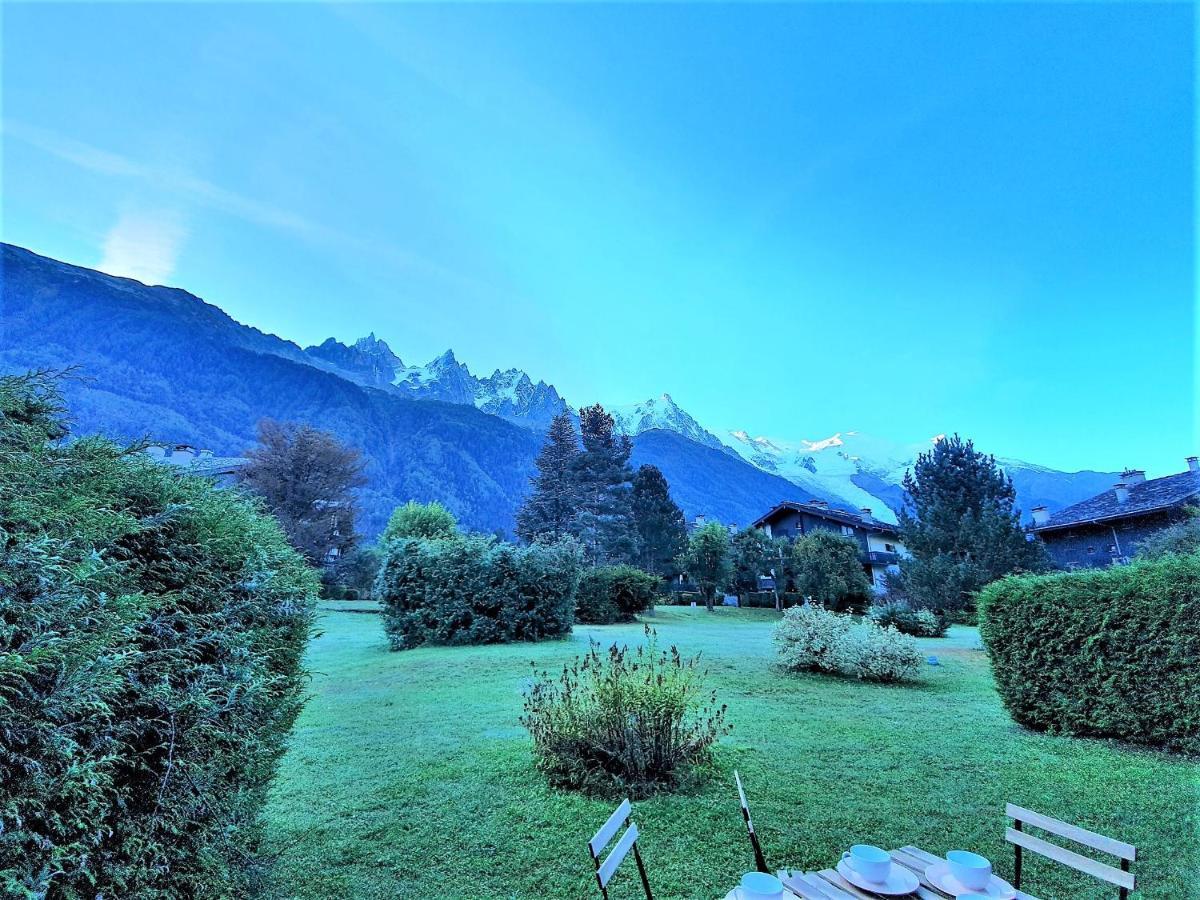 Chamonix Appartement Vue Mont Blanc Avec Jardin Kültér fotó